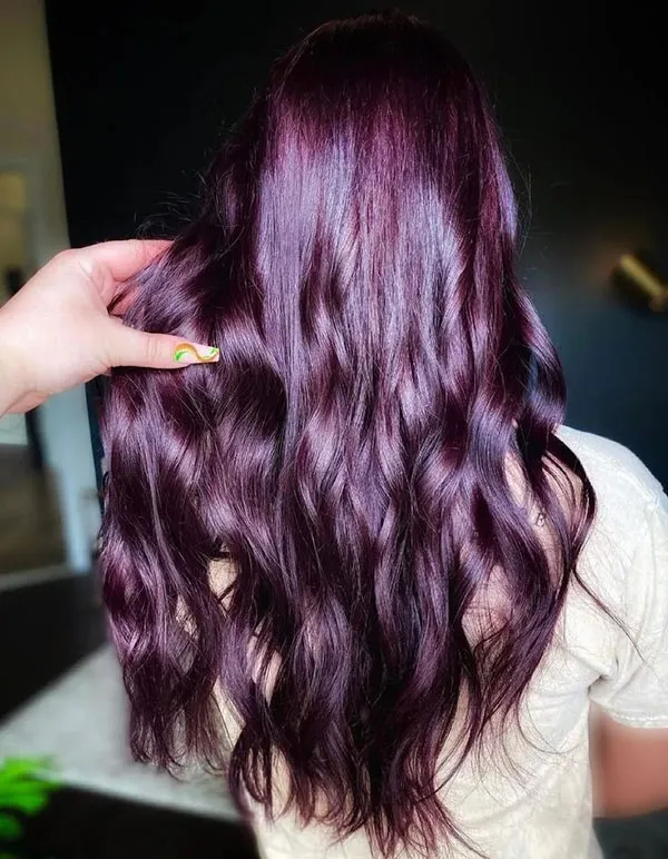 Eggplant hair color 11
