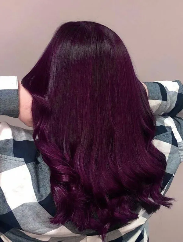 Eggplant hair color 12