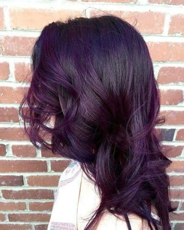 Eggplant hair color 13