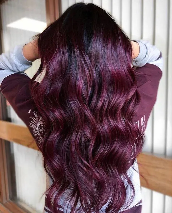 Eggplant hair color 14