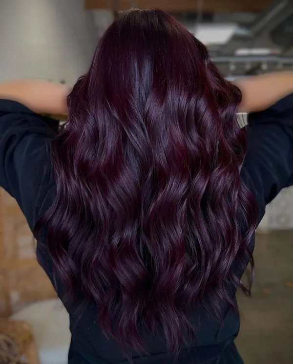 Eggplant hair color 15