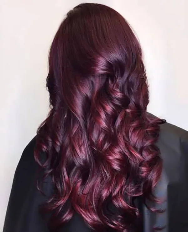 Eggplant hair color 29