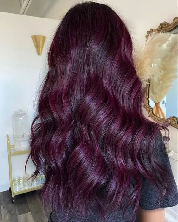 Eggplant hair color 3