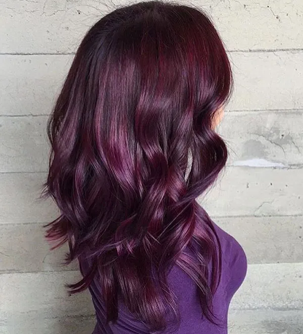 Eggplant hair color 4