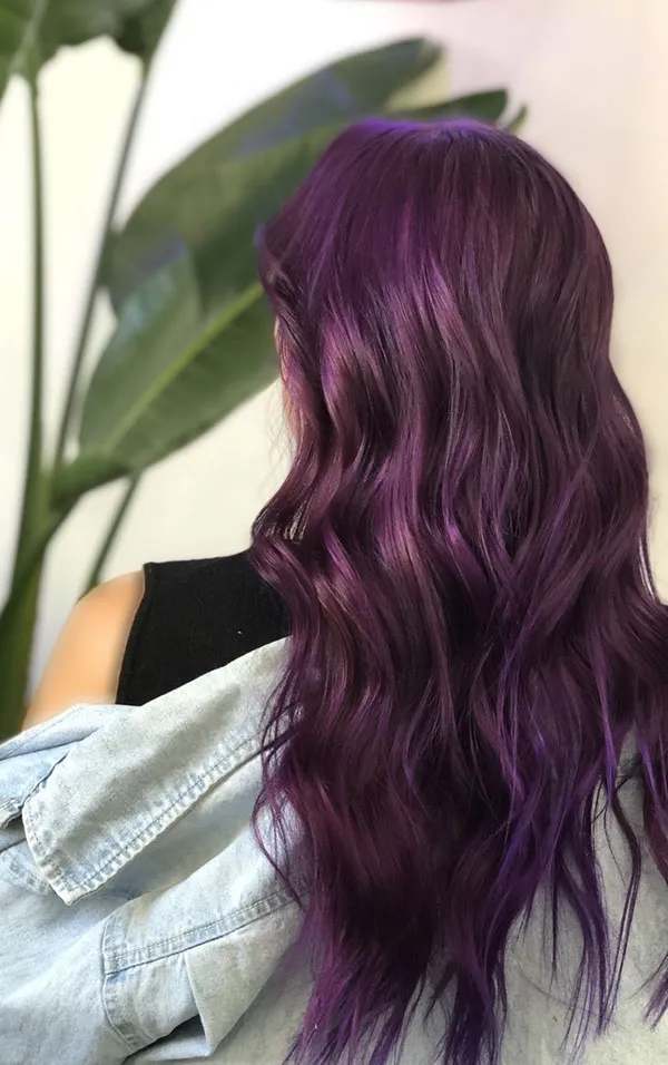 Eggplant hair color 8