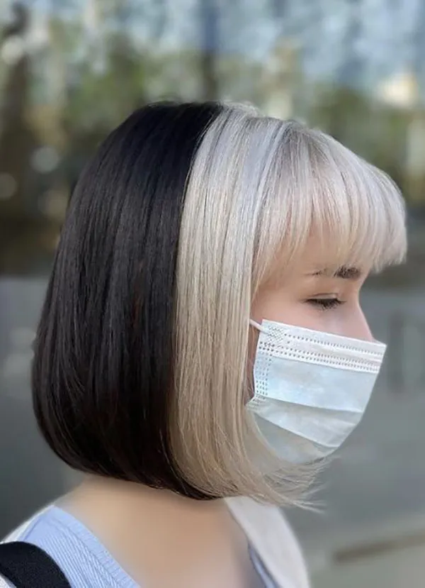 Egyptian French hairstyle 19