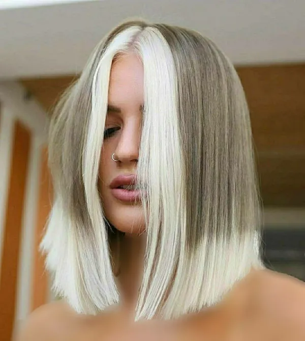 Egyptian French hairstyle 2