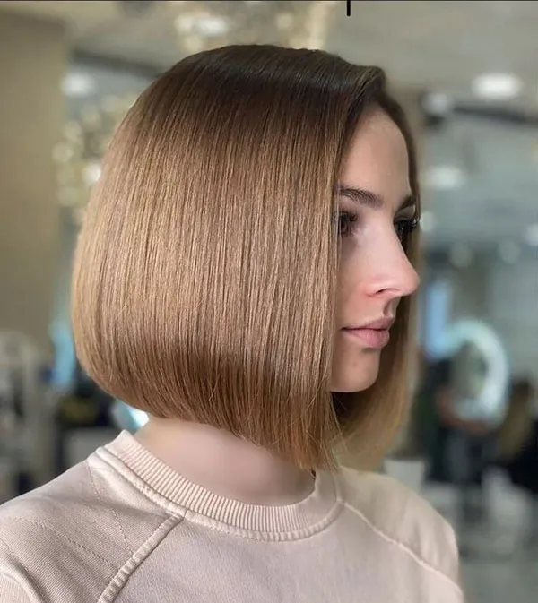 Egyptian French hairstyle 22