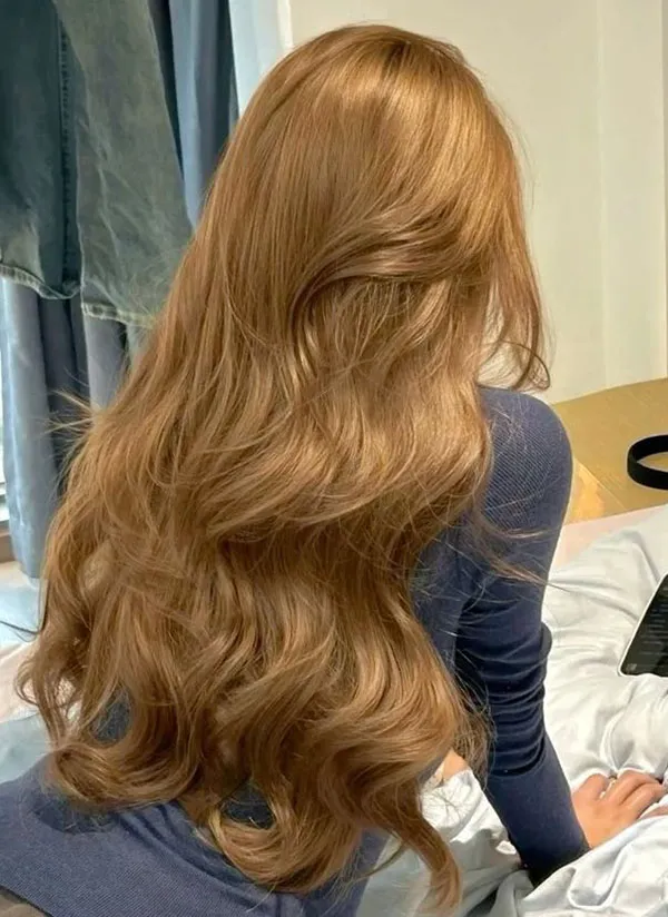 Hair color for wheat skin 27