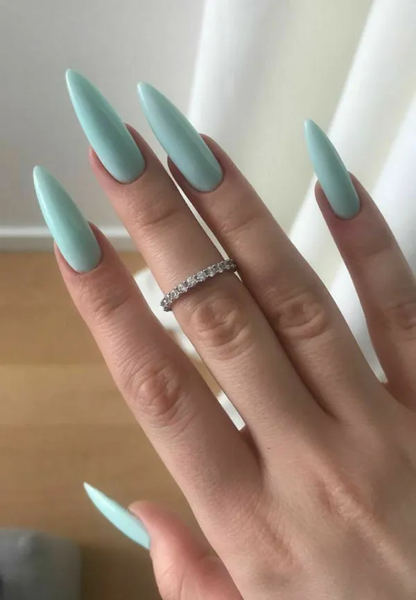 New long nail model 17