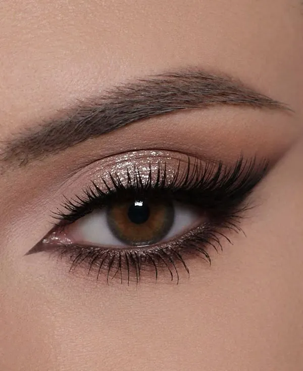 Nude eyeshadows 31
