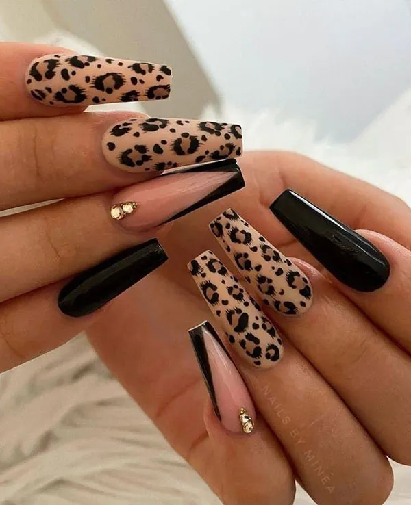 nail model 19