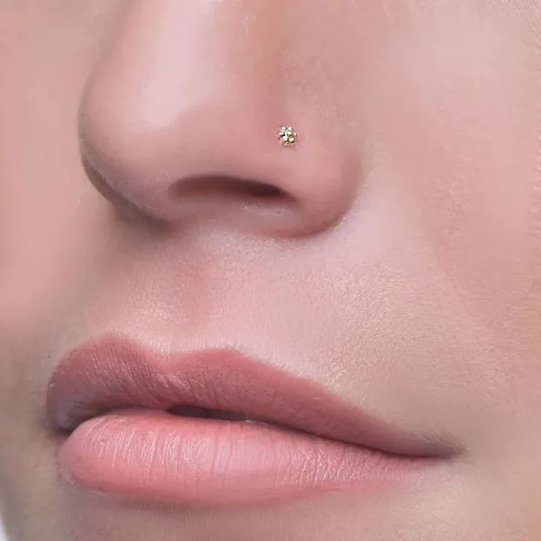 Delicate piercing model 18
