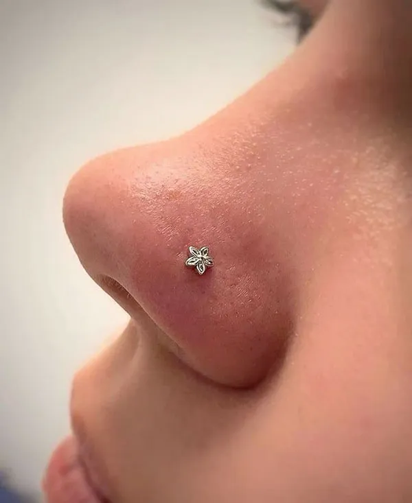 Delicate piercing model 22