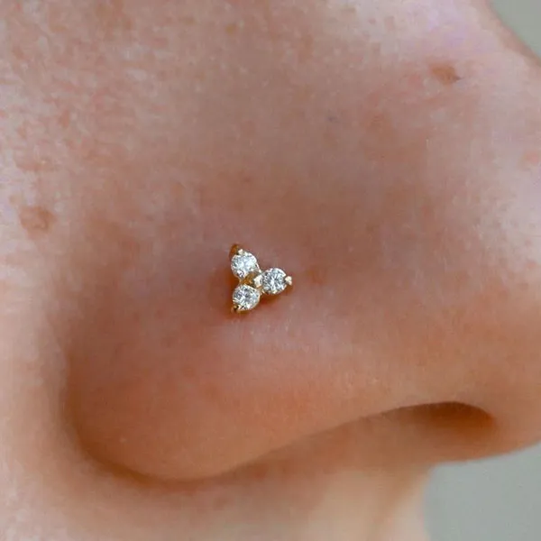 Delicate piercing model 24