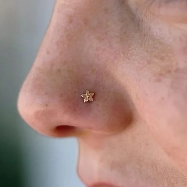 Delicate piercing model 31