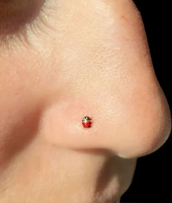 Delicate piercing model 6