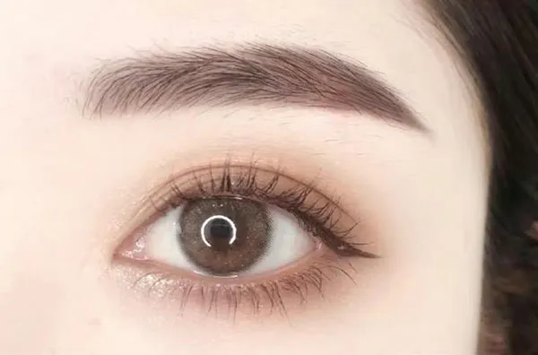 Korean eyebrow model 24