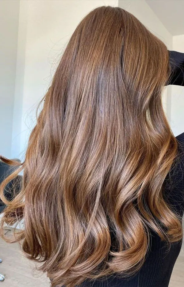 Natural light brown hair color 19