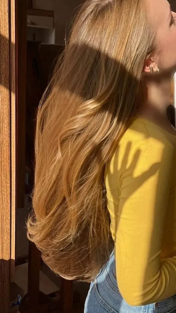 Natural light brown hair color 26 1
