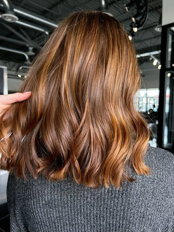 Natural light brown hair color 4