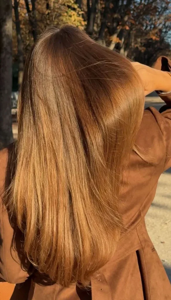 Natural light brown hair color 9 1