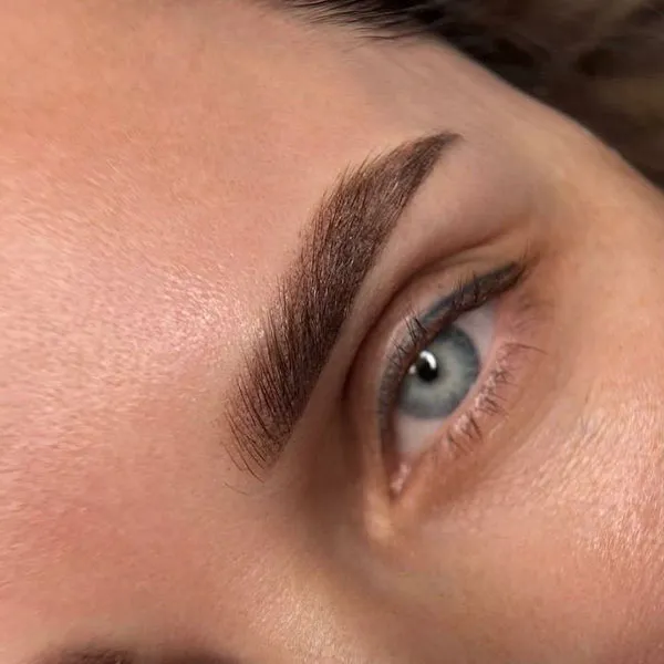 New eyebrow model 12