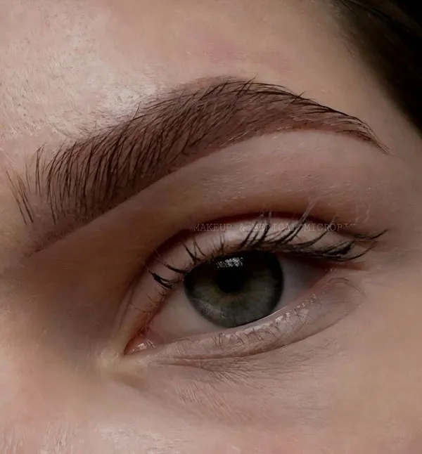 New eyebrow model 17
