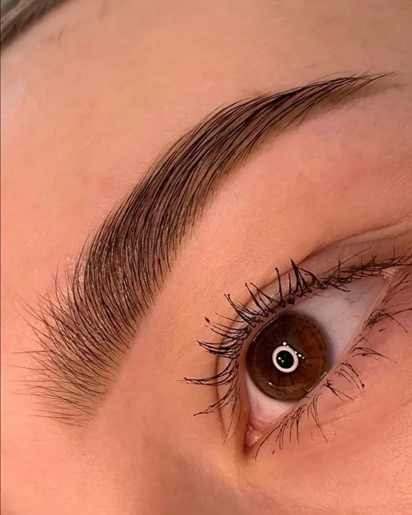 New eyebrow model 18