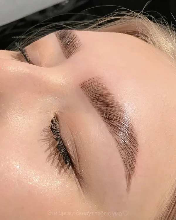 New eyebrow model 19