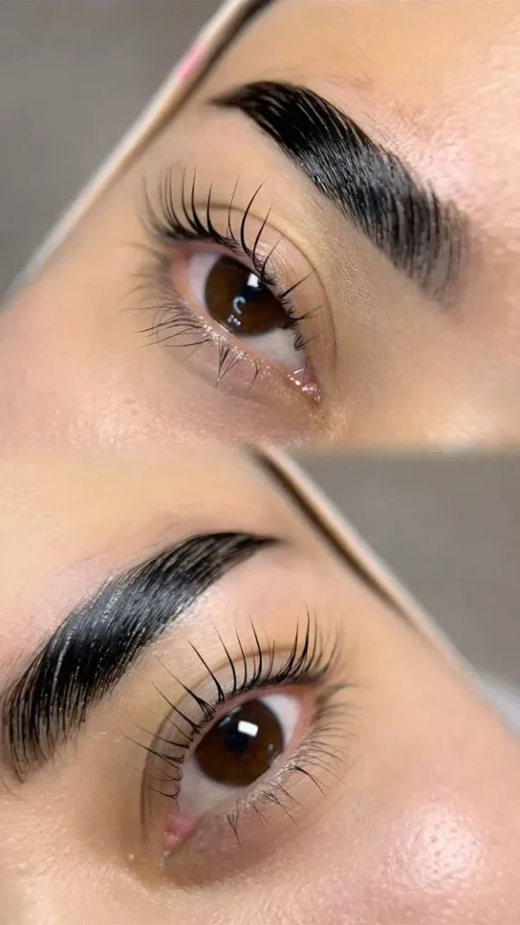 New eyebrow model 22