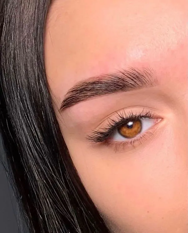 New eyebrow model 24