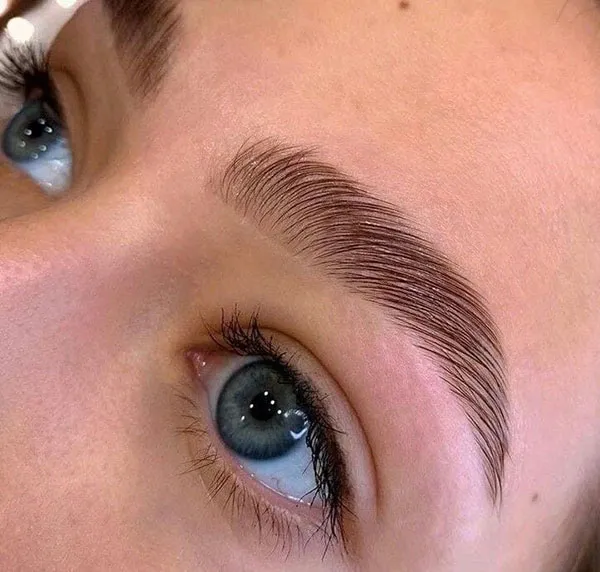 New eyebrow model 26