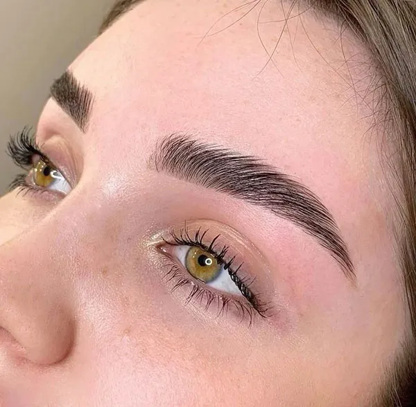 New eyebrow model 5