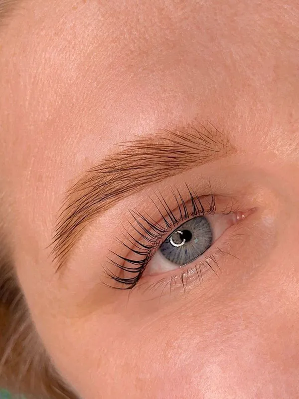 New eyebrow model 6