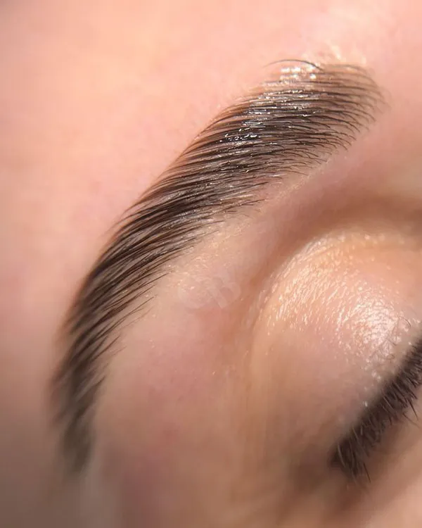 Thin eyebrow lift 24