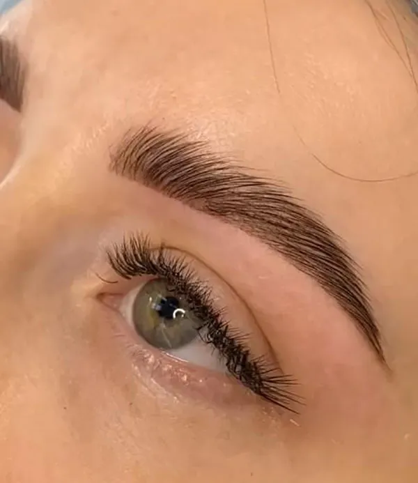 Thin eyebrow lift 26