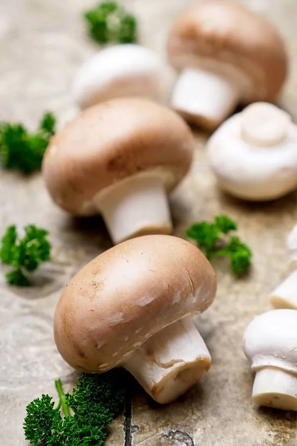 Tricks for storing mushrooms in the refrigerator 1