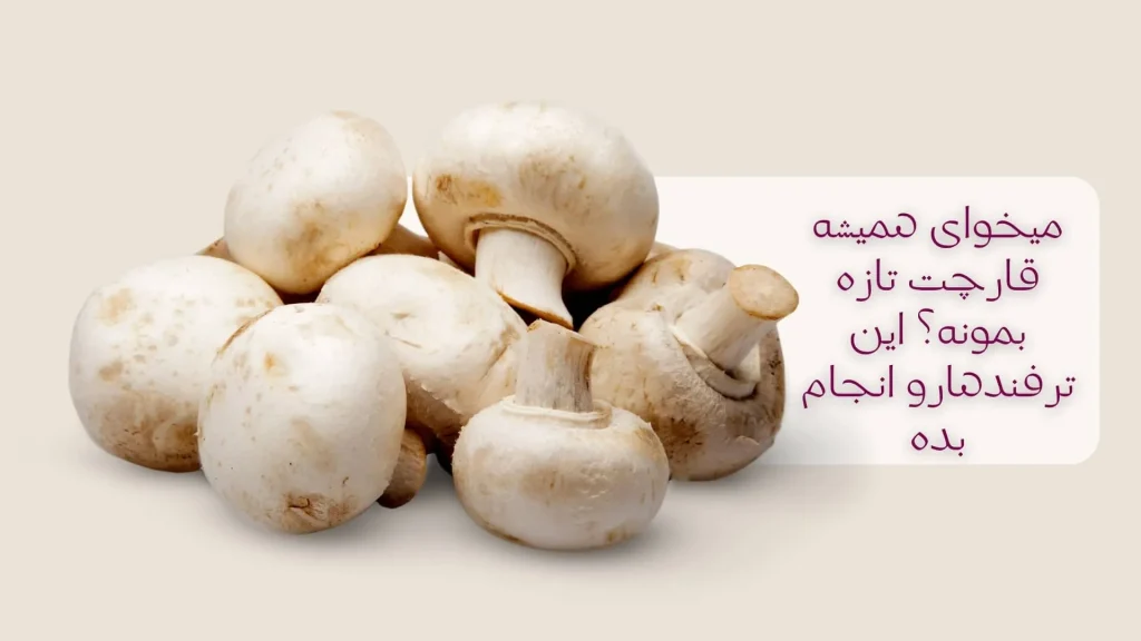 7 ترفند پخت سریع گوشت؛ وقتی عجله داری ولی طعم برات مهمه! 2 ترفند نگهداری قارچ در یخچال