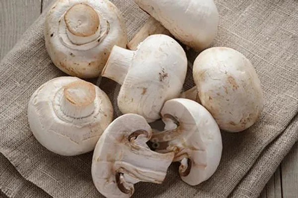 Tricks for storing mushrooms in the refrigerator 3
