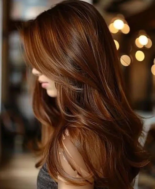 Cinnamon hair color 25