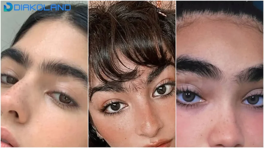 مدل ابرو پیوسته