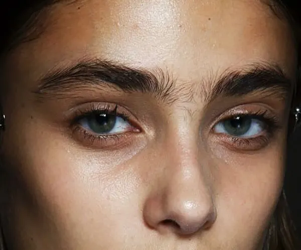 Continuous eyebrow model 19