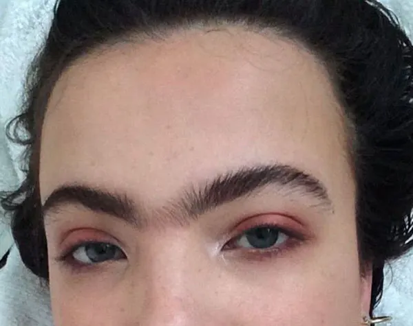Continuous eyebrow model 24
