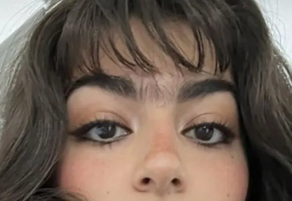 Continuous eyebrow model 25