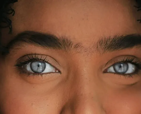 Continuous eyebrow model 32