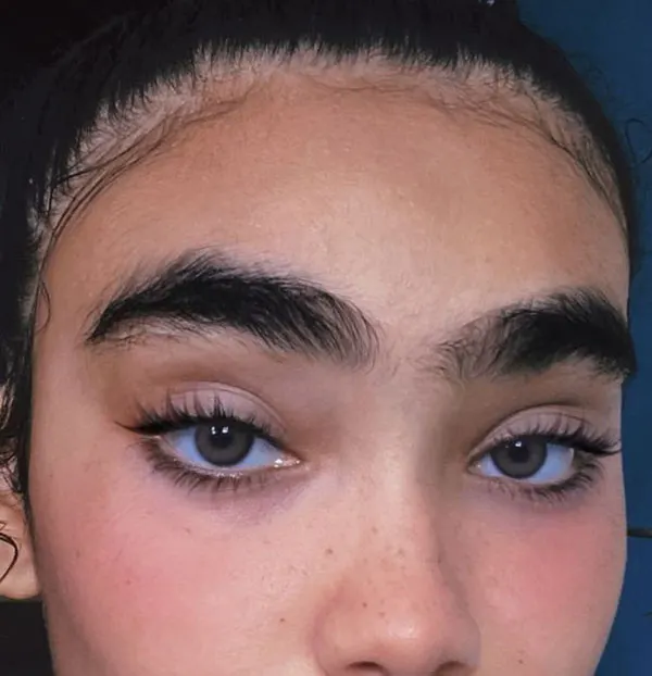 Continuous eyebrow model 6