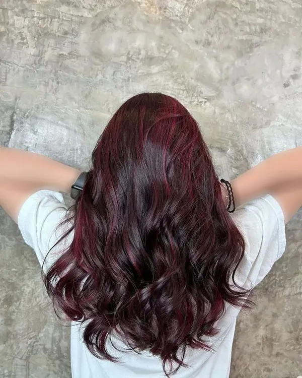 Dark burgundy hair color 13