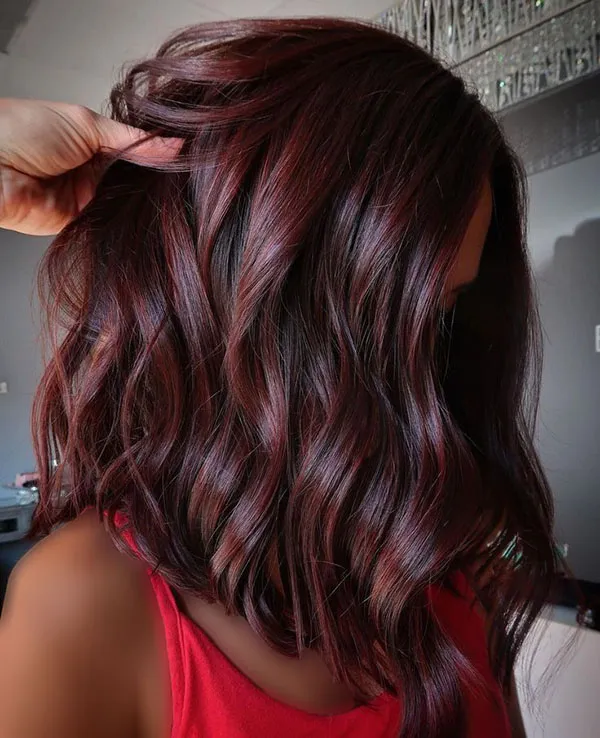 Dark burgundy hair color 15
