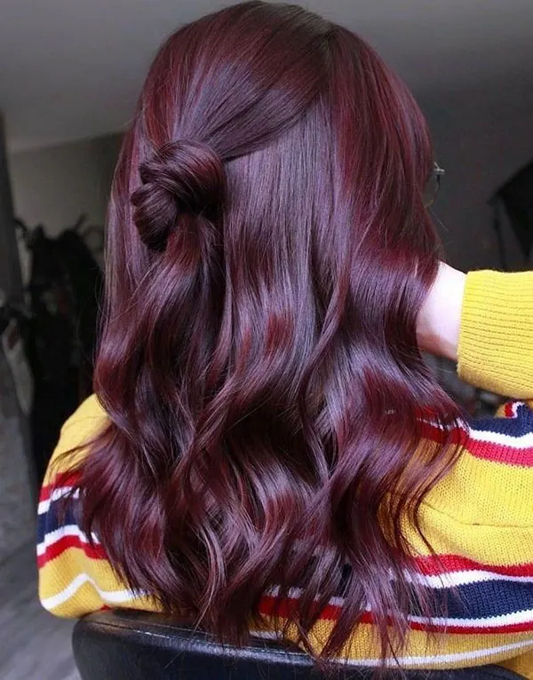 Dark burgundy hair color 18